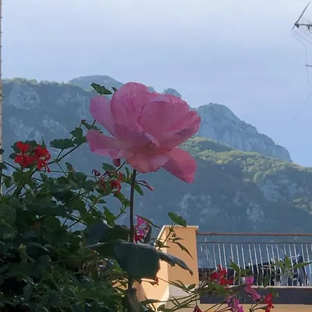 Il Riccio, Valle Roveto