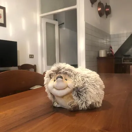 Il Riccio, Valle Roveto