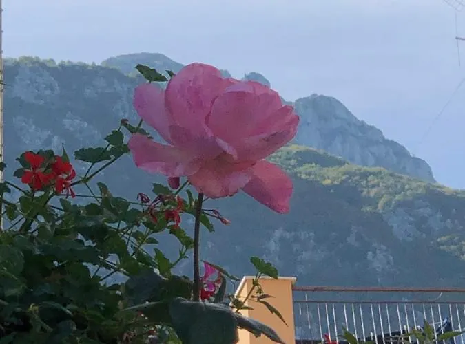 Il Riccio, Valle Roveto